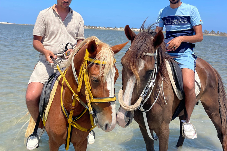Djerba: 1,5-stündiger Ausritt an den Stränden der Insel und durch die Lagune