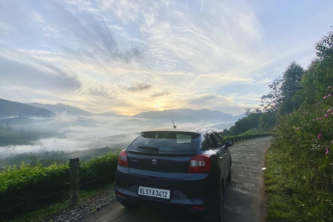 De Kochi a Munnar: Eravikulam, finca de té y cascadas