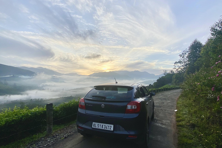 De Kochi a Munnar: Eravikulam, finca de té y cascadas