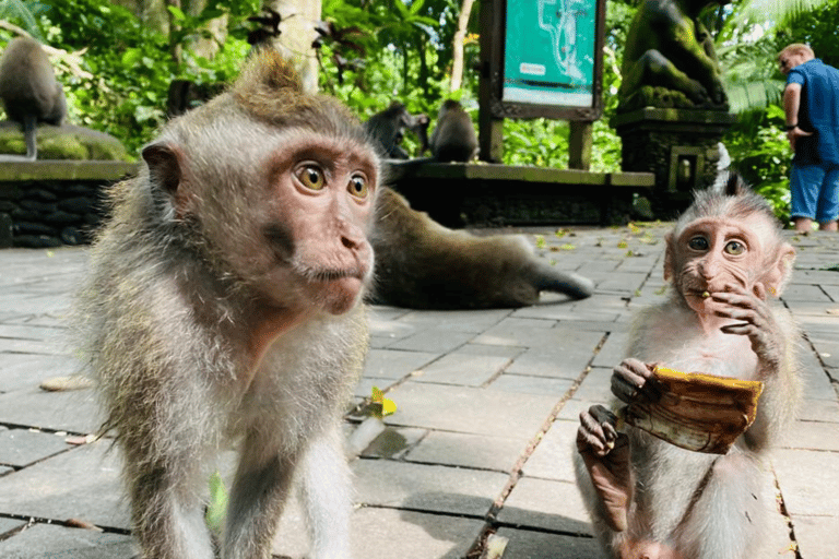 Bali: Ubud Scenic Exploration Without Entrance Tickets