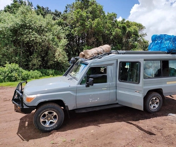 Tanzania: Safari de 4 días al Serengeti, Ngorongoro y Tarangire