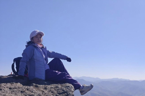 Shanghai: Zoumagang Hike Through Ancient Torreya Forest private tour option