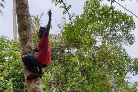 Zanzibar: Excursão a uma fazenda de especiarias e aula de culinária com almoço