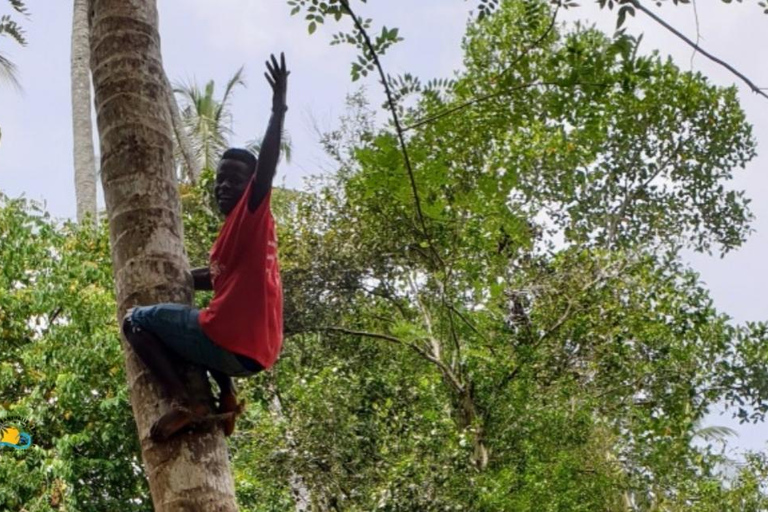 Zanzibar: Excursão a uma fazenda de especiarias e aula de culinária com almoço