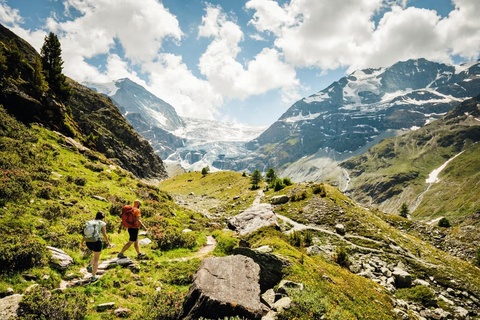 3 Privately Guided Swiss Travel Pass Train Tours from Zurich Group of 8 Excluding Train Tickets
