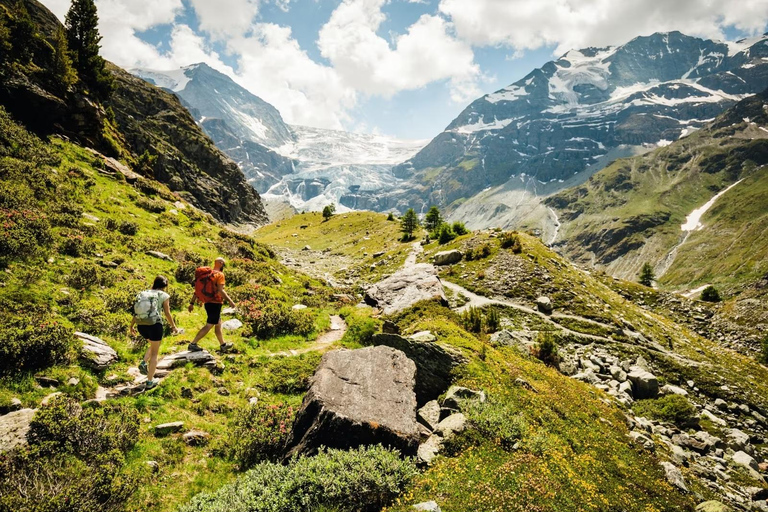 3 Privately Guided Swiss Travel Pass Train Tours from Zurich Group of 8 Excluding Train Tickets