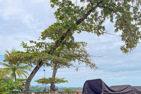 Snorkeling Cahuita National Park