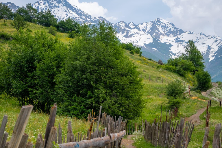 From Tbilisi: 5-Day Svaneti Tour | Mestia, Ushguli & Hikes