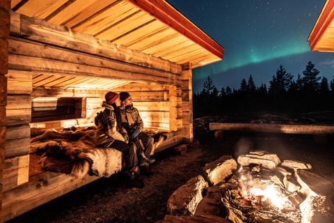 Rovaniemi: Northern Lights & Reindeer Experience
