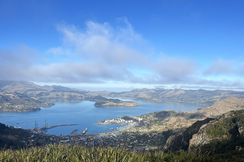 基督城：Port Hills 全天徒步跑步之旅基督城：港口山全日徒步跑步之旅