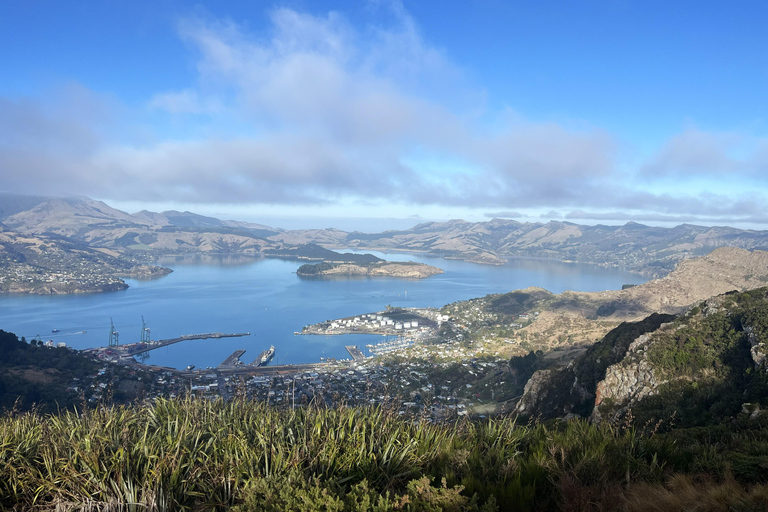 基督城：Port Hills 全天徒步跑步之旅基督城：港口山全日徒步跑步之旅