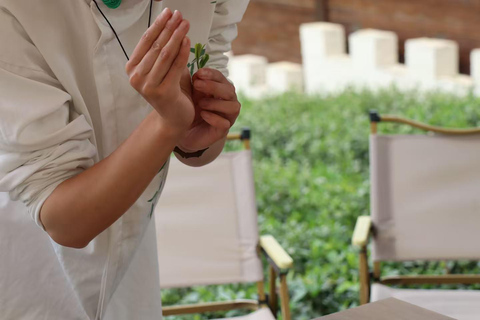 Hangzhou: Song-Style Tea Ceremony with Tea Master