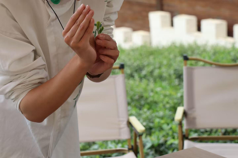 Hangzhou: Song-Style Tea Ceremony with Tea Master