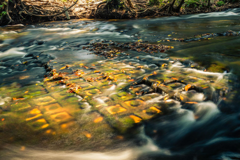 Siem Reap: Discover The Sacred of Kulen Mountain Park