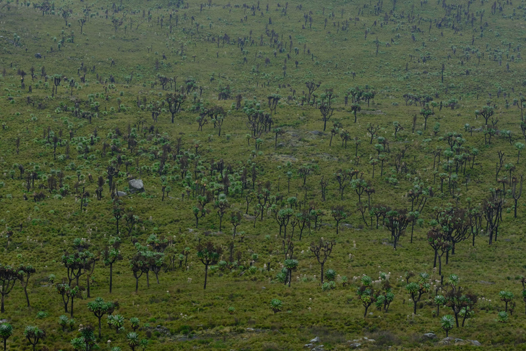 Aberdare National Park: Mount Satima Overnight Hike