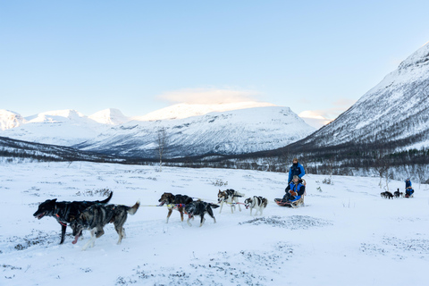 From Tromsø: Advanced Dog Sledding Tour at Camp Tamok Advanced Dog Sledding Tour: Midday Departure
