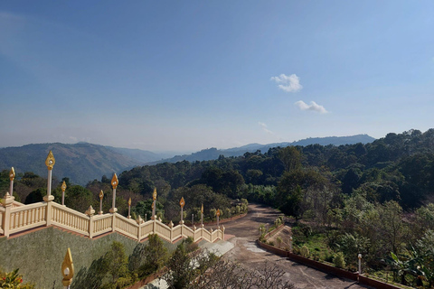 Chiang Rai: Mountains Discovery Doi Mae Salong & Doi Tung Mountains Discovery:Doi Mae Salong & Doi Tung (Private Tour)