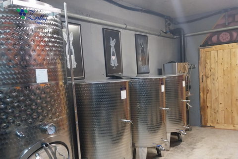 10 Essential Varna Experiences: The Complete Guided Tour