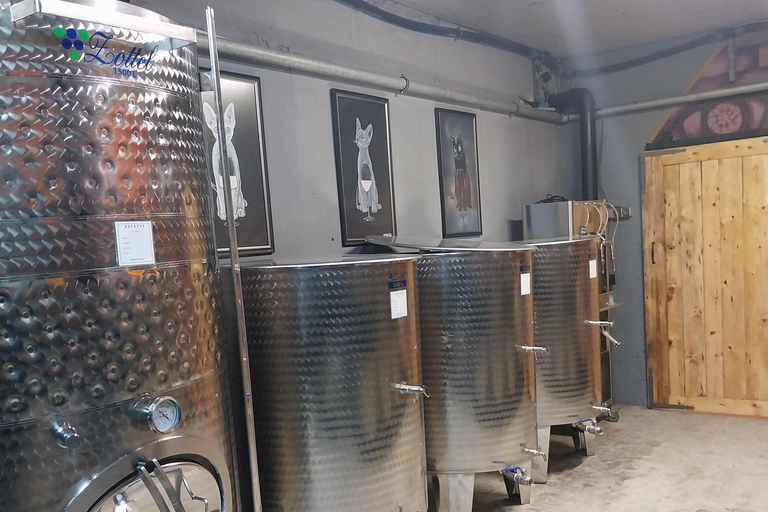 10 Essential Varna Experiences: The Complete Guided Tour