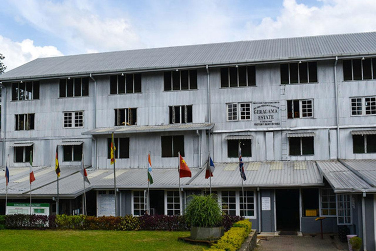 Kandy: Full-Day Tour with Historical Cultures