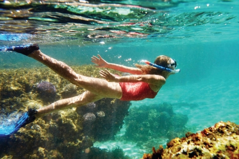 Rhodos: Rondvaart met snorkelen, zwemmen, lunch & drankjesRondleiding vanuit de oude haven van Mandraki