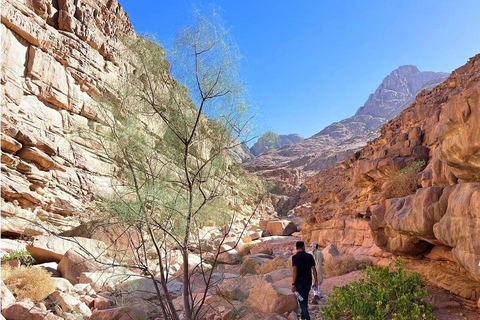 Hurghada Qattar Mountain Adventure: 4WD & Stargazing Hurghada: Gattar Mountain,Off-Road, Stargazing & Dinner