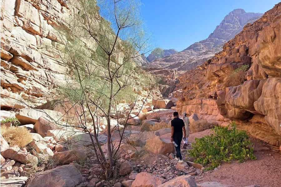Hurghada: Qattar Mountain Adventure mit Geländewagen & Sternenbeobachtung. Foto: GetYourGuide
