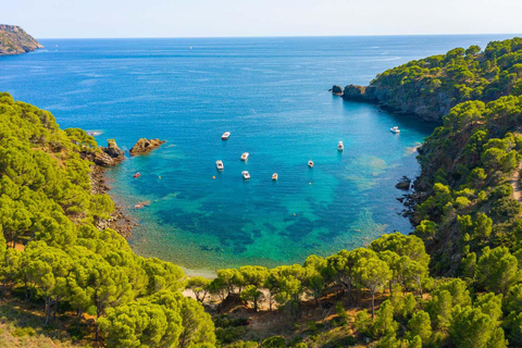 Roses: Excursión en catamarán por la Costa Brava con vistas submarinasDe Rosas