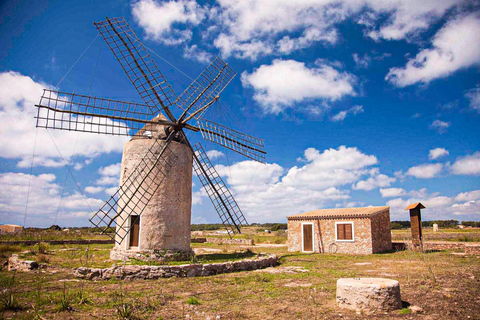 Ibiza: All-inclusive Formentera Full-Day Boat Trip with Beds