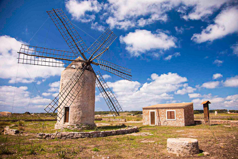 Ibiza: All-inclusive Formentera Full-Day Boat Trip with Beds