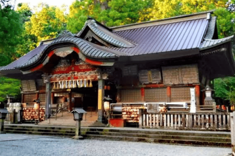 Från Tokyo: Mount Fuji och Hakone Privat dagsutflykt