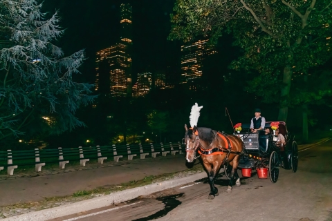 Central Park NYC: jazda konna i bryczką