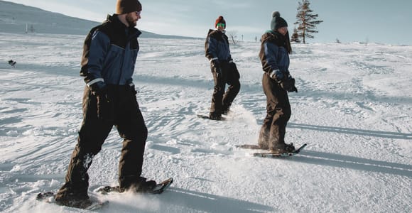 Saariselkä: Scenic Snowshoe Safari