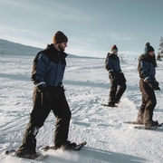Saariselkä: Scenic Snowshoe Safari
