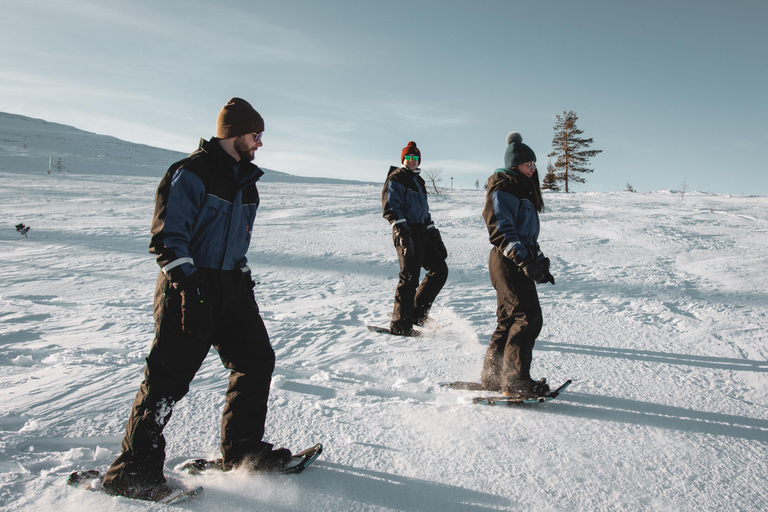 Saariselkä: safari panoramico con le ciaspole