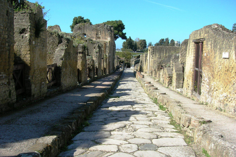 From Naples: Explore the Herculaneum Ruins and Vesuvius HERCULANEUM AND VESUVIUS: TOUR FROM NAPLES BY BUS