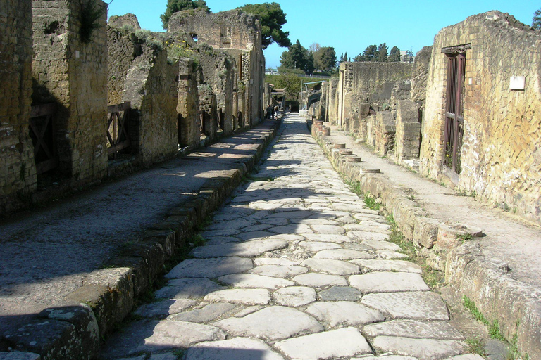 From Naples: Explore the Herculaneum Ruins and Vesuvius HERCULANEUM AND VESUVIUS: TOUR FROM NAPLES BY BUS