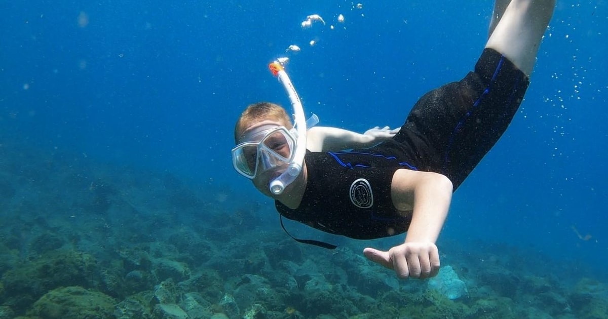 Tenerife Turtle Bay Snorkel Discovery with Video GetYourGuide