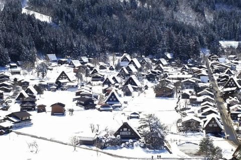 Visite à la journée de Shirakawago&amp;HidaTakayama&amp;GujoHachiman depuis Nagoya