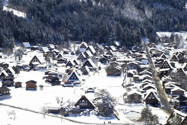 Visite à la journée de Shirakawago&amp;HidaTakayama&amp;GujoHachiman depuis Nagoya