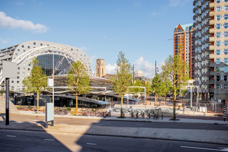 Rotterdam: Paseo exprés con un local en 90 minutos