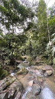 Avistamiento de aves en Minca Sierra Nevada de Santa Marta - Housity