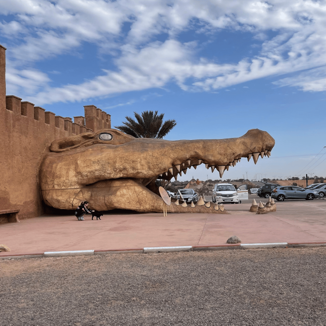 Excursion à Marrakech : Agadir, parc des crocodiles, téléphérique et plage