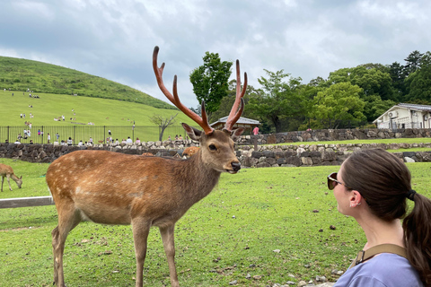 Nara: Halvdag med lokal guide – Big Buddha, hjort, helgedom, skogNara: Halvdag lokal guide- Stora Buddha, hjort, helgedom, skog