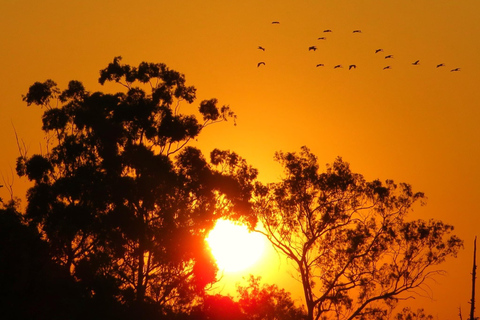 Johannesburg: Soweto und Apartheid Museum Tour