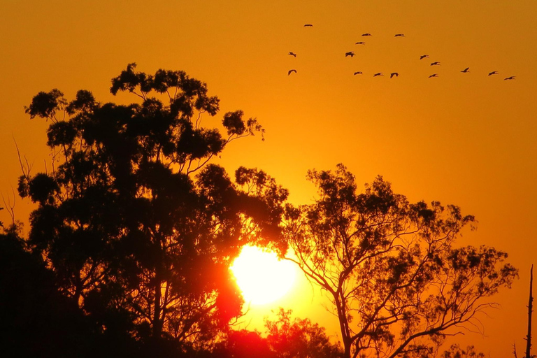 Johannesburg: Soweto und Apartheid Museum Tour