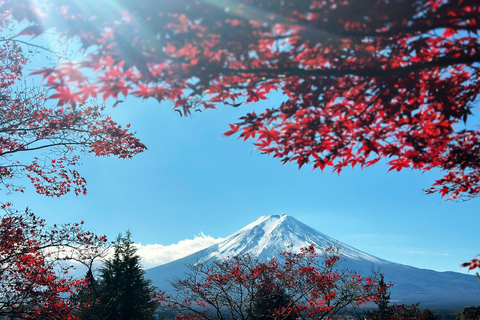 From Tokyo: Best of Japan 5-Day Private Guided Tour