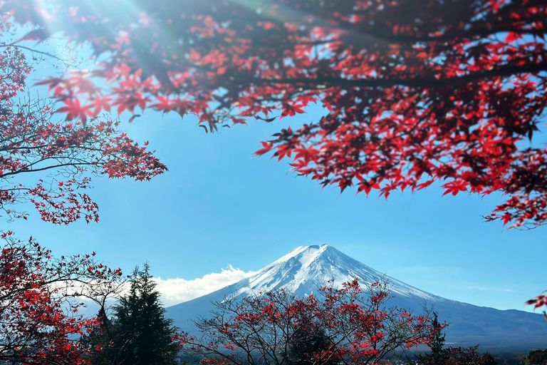 From Tokyo: Best of Japan 5-Day Private Guided Tour