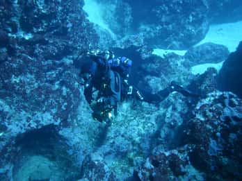 Alghero: diving for professionals at Capo Caccia