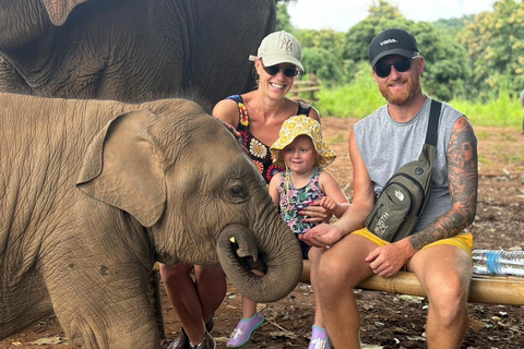 Chiang Mai : Sanctuaire des éléphants, chute d&#039;eau et raftingLieu de rendez-vous en ville